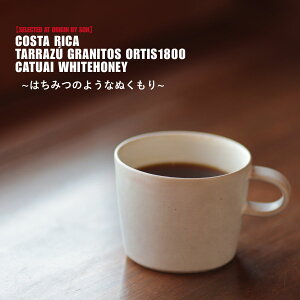 RX^J 蓤  RX^J ^X Oj[gX IeBX1800 JgDAC zCgnj[XyVeBR[q[