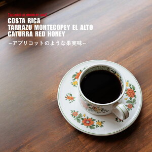 RX^J 蓤  RX^J e RyC G Ag Jc[ bhnj[ XyVeBR[q[