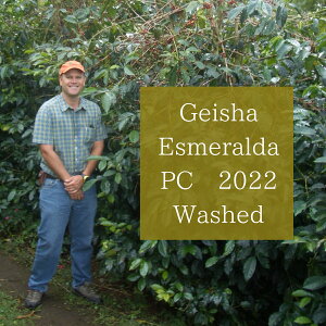  R[q[ QCV  GX_ _ vCx[gRNV EHbVh @蓤 200g ( X XyVeBR[q[ Md  R[q[ VOIW