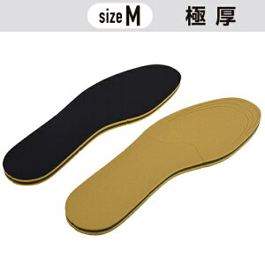 Ɍ C\[ MTCY(22`24.5cm) m1n jp # ~ 1cm Ɍ ͂3w\ TCY RۖhL  Ռ T|[g