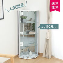 楽天市場】コーナー コレクションケースの通販
