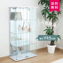 楽天市場】不二貿易 ガラスコレクション 背面ミラーの通販