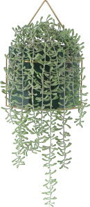 FJ tFCNO[ ϗtA ~JdLlbNX [nMO] 32cm 0.38kg O[ [41126]#tFCNO[ ϗtA CeA A tFCN sf