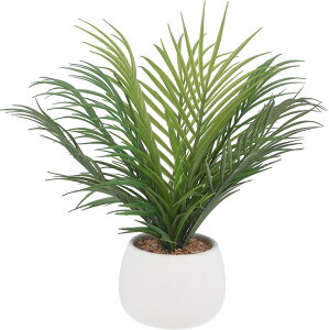 FJ tFCNO[ ϗtA V Z~bN|bg [E^] 36cm 0.6kg O[ [41132]#tFCNO[ ϗtA CeA A tFCN sf