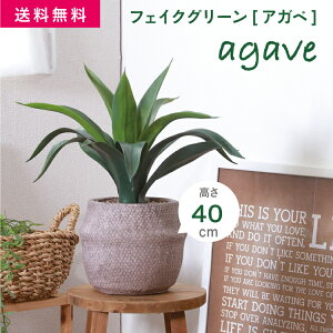 FJ tFCNO[ ϗtA AKx Zg|bg [E^] 40cm 2.45kg O[ [41135]#tFCNO[ ϗtA CeA A tFCN sf