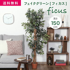 FJ tFCNO[ ϗtA tBJX 690 A [^] 150cm 5.2kg O[ [52661]#tFCNO[ ϗtA CeA A tFCN sf