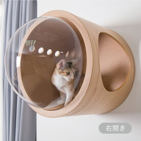 楽天市場 猫 ベッド 宇宙の通販