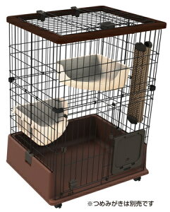 JL yeBI necoco eL̂ɂ҂ Lbg[T[N y1z