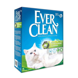 JL V Go[N[F^Cv6L y3z