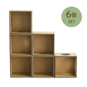 KM Lbg{bNX-Lbg^[ KM-AW-025-01-f-01 S6 1Zbg/2Zbg/3Zbg/4Zbg/5Zbg/6Zbg#Cat Box paper new standard JO`}bNH KAWAGUCHI MAC DISPLAY ˂  