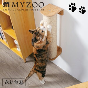 ���� MYZOO �}�C�Y�[ CYLINDER2 �V�����_�[ �y1�z �܂Ƃ� #�L �L���b�g ������� �I �Ǖt�� �X�^�C���b�V��