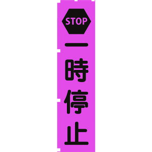 TR O[NX usN̂ڂ PN2 ꎞ~