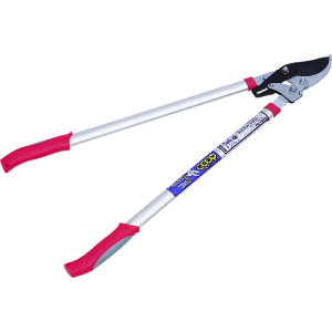 TR GS V^A~͑} (`Fbg)