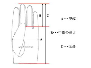 X}zΉ NAPA INNER GLOVEiX}zΉipCi[O[uj blackubNCi[X}[gtHgѓdbۉێhhJhϕωJtpėpHp~poCNpܒԎ]Ԏ]
