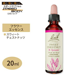 �o�b�`�t�����[ �����f�B �X�E�B�[�g�`�F�X�g�i�b�c 20ml�i0.7floz�j Bach FlowerBach Original Flower Remedies Walnut 0.7 fl oz�i20 ml�j