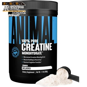 yő1400~OFFN[|zjo[Tj[gV Aj}}CNiCYh NA`pE_[(500gj Univ: Animal Creatine Powder (500 grams) y񂹏izy킹Ĕz
