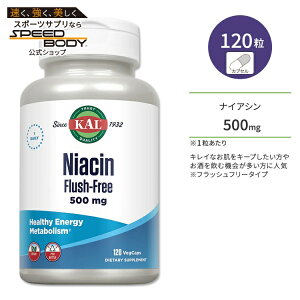 �J�� �i�C�A�V�� 500mg �t���b�V���t���[ 120�� �x�W�J�v�Z�� KAL Niacin Flush-Free 120 VegCaps �T�v�� �r�^�~��B B3 �w���X�P�A �̂Â��� ���N�T�|�[�g �G�l���M�b�V�� ���e �X�L���P�A �߂��� �r�[�K��