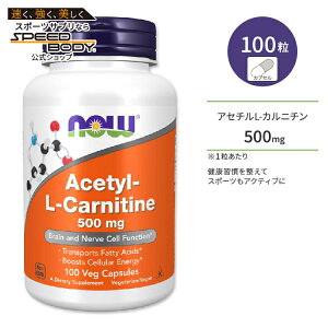 iEt[Y AZ` L-Jj` xWJvZ 500mg 100 NOW Foods ACETYL L-CARN 100 VCAPS Tvg N⏕Hi RăT|[g wXPA T|[g