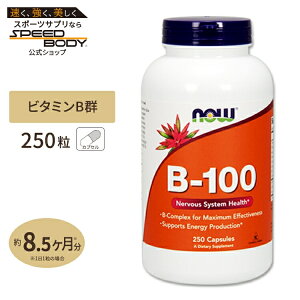 yő1400~OFFN[|zr^~B-100 250 8 NOW Foods (iEt[Y)[TCY]B-100 250capsules