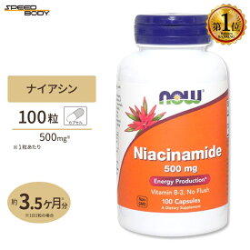 ナウフーズ ナイアシンアミド ビタミンB3 500mg 100粒 NOW Foods Niacinamide (B-3) イキイキとした毎日 エナジーチャージ 補酵素