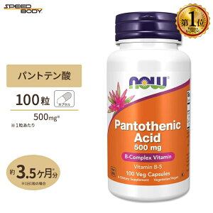 yő1400~OFFN[|ziEt[Y pge_ 500mg 100 xWJvZ NOW Foods Pantothenic Acid Veg Capsules r^~B5 nr^~ GlM[ eT|[g _CGbgT|[g