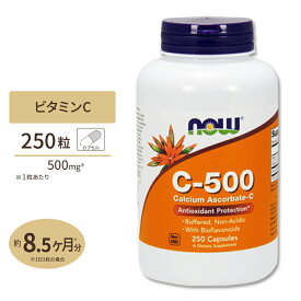 C-500 アスコルビン酸カルシウム 250粒 NOW Foods(ナウフーズ)