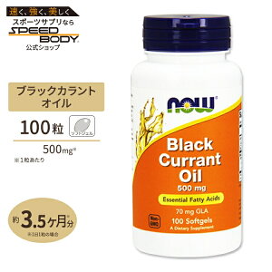 yő1400~OFFN[|zNOW Foods ubNJgIC (JVX) 500mg 100 \tgWF iEt[Y Black Currant Oil 500mg 100softgels