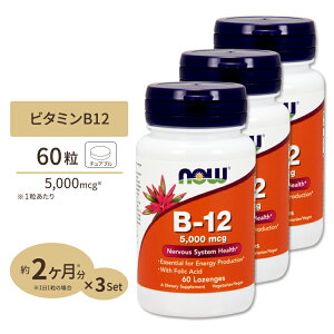 �t�_ �T�v�� �D�w �D�P �D�� �T�v�������g 60�� ��2������ 1��������400mcg [3�Z�b�g]�r�^�~��B-12 5000mcg�z�� NOW Foods(�i�E�t�[�Y)