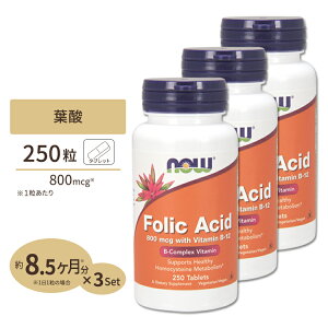 iEt[Y t_ 800mcg r^~B-12 25mcg 250 ^ubg NOW Foods Folic Acid with Vitamin B-12 Tablets v}} Ԃ D DP nr^~