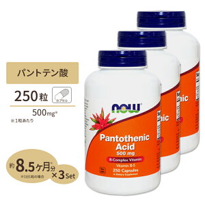yő1400~OFFN[|ziEt[Y pge_ 500mg 250 xWJvZ NOW Foods Pantothenic Acid Veg Capsules r^~B5 nr^~ GlM[ eT|[g _CGbgT|[g