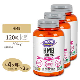 [3個セット] HMB 500mg 120粒《約3ヵ月分》 NOW Foods(ナウフーズ)