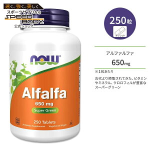 yő1400~OFFN[|ziEt[Y At@t@ 650mg 250 ^ubg NOW Foods Alfalfa Tvg X[p[O[ r^~ ~l NtB NT|[g H ؕs