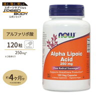 【ポイントUP★7日20時-18日】アルファリポ酸 250mg 120粒 NOW Foods(ナウフーズ)Alpha Lipoic Acid 250 …
