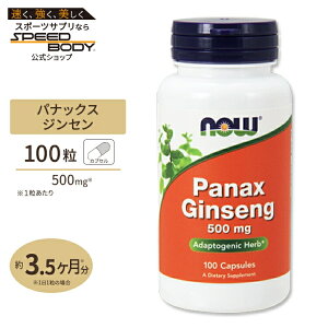yő1400~OFFN[|zpibNXWZiNlQj 500mg 100 NOW Foods(iEt[Y)Panax Ginseng 500mg-100Caps
