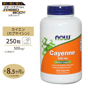yő1400~OFFN[|zJCGihqj 500mg 250 NOW Foods(iEt[Y)Cayenne 500 mg - 250 Capsules
