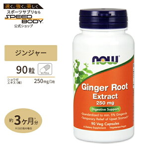 �y�|�C���gUP��15��20��-22���z�W���W���[���[�g�i���j�G�L�X 250mg 90�� NOW Foods(�i�E�t�[�Y)NOW Ginger Root Extract 250mg 90Vcaps