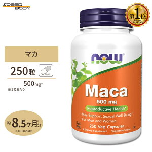 yő1400~OFFN[|z}J 500mg 250 NOW Foods(iEt[Y)Maca 500 mg - 250 Capsules
