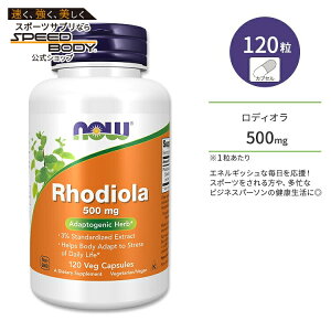 �i�E�t�[�Y ���f�B�I�� ���[�A 500mg �x�W�J�v�Z�� 120�� NOW Foods Rhodiola Veg Capsules ���[�A �G�L�X �n�[�u �C���x���P�C
