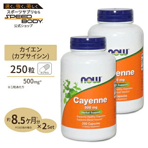 yő1400~OFFN[|zJCGihqj 500mg 250 NOW Foods(iEt[Y) [2Zbg]Cayenne 500 mg - 250 Capsules