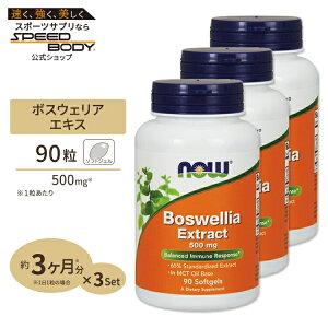 [3�Z�b�g] �{�X�E�F���A�G�L�X�i�{�X�E�F���A�Z���[�^�j 500mg 90�� NOW Foods(�i�E�t�[�Y)Boswellia Extract 500mg 90sg 3bottles set
