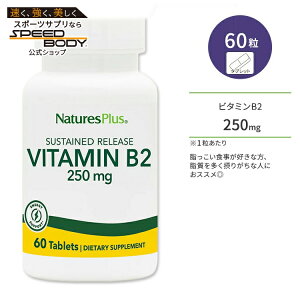 �l�C�`���[�Y�v���X �r�^�~�� B2 250mg �T�X�e���h�����[�X �^�u���b�g 60�� NaturesPlus Vitamin B2 250 mg Sustained Release Tablets ���{�t���r��