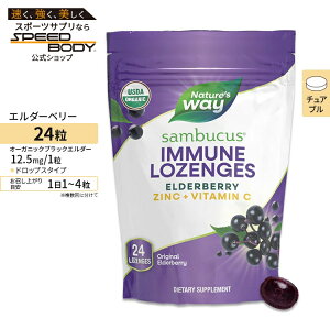 yő1400~OFFN[|zlC`[YEFC hbv G_[x[ 24 Nature's WaySambucus Elderberry Zinc Lozenges 24Lozenges