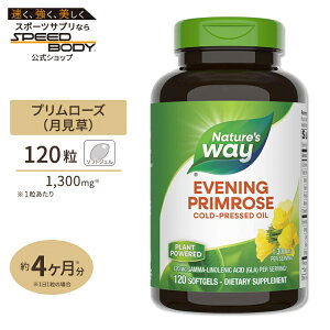�l�C�`���[�Y�E�F�C �C�u�j���O�v�������[�Y�I�C�� (�������EEPO) 1300mg 120�� Nature's Way Evening Primrose[�����T�C�Y]�y�����񂹏��i�z�y���킹�Ĕ��������z