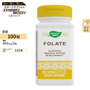 yő1200~OFFN[|zlC`[YEFC t_ 800mcg 100 Nature's Way Folic Acid 800mcg 100capsules Tv NTv r^~ t_z