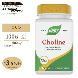 �y�|�C���gUP��23��-27��9���z�l�C�`���[�Y�E�F�C �R���� 500mg 100�� Nature's Way Choline 500mg �T�v�� �r�^�~��B�Q �_�C�G�b�gCholine 500mg