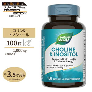 �y�|�C���gUP��15��20��-22���z�l�C�`���[�Y�E�F�C �R����&�C�m�V�g�[�� 500mg 100�� Nature's Way Choline & Inositol 500mg �T�v�� �r�^�~��B�Q �_�C�G�b�g