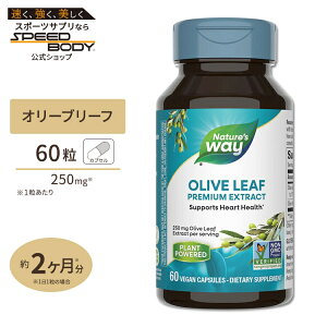 �l�C�`���[�Y�E�F�C �I���[�u���[�t�G�L�X 12%�I���E���y�C�� 60�� Nature's way Olive Leaf Standardized 12% oleuropein �T�v�� �|���t�F�m�[��