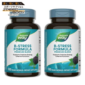 [2�Z�b�g] Nature's Way B-�X�g���X�t�H�[�~���� �G�]�E�R�M�G�L�X�z�� 100�� �r�[�K���J�v�Z�� �l�C�`���[�Y�E�F�C B-Stress Formula 100Vegan Capsules 2bottles set�y�����񂹏��i�z�y���킹�Ĕ�������