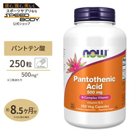 ナウフーズ パントテン酸 500mg 250粒 ベジカプセル NOW Foods Pantothenic Acid Veg Capsules ビタミンB5 水溶性ビタミン エネルギー 美容サポート ダイエットサポート