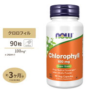 【ポイントUP&クーポン★4日15時-12日9時】ナウフーズ クロロフィル 100mg 90粒 NOW Foods Chlorophyll w…